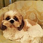 Profile Picture of Patricia Moloney (@moloneypatricia) on Instagram