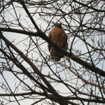 Profile Picture of Matthew Goetz (@sneakypossum) on Instagram