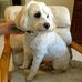 Profile Picture of Barbara Davis (@barbara.davis.714049) on Facebook