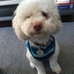 Profile Picture of Debra (@granmoose) on Instagram