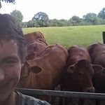 Profile Picture of Alex Swindell (@alex.swindell.18) on Instagram