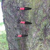 David Woelk - Youtube Profile Picture of David Woelk (@davesrccars7657) on Youtube