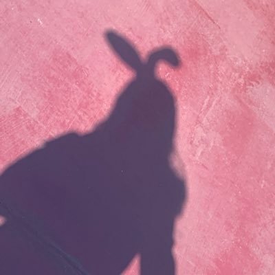 Profile Picture of うさぎ  🐰 8m (@paradiselanka82) on Twitter