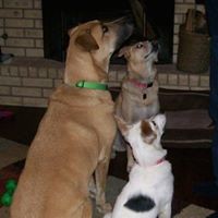 Profile Picture of Cindy Huth (@cindy-huth) on Quora