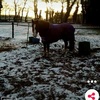 Profile Picture of joey_lilly (@@jeoy_tom) on Tiktok