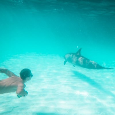 Profile Picture of Harry (@harrryfisherr) on Twitter