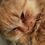 Profile Picture of Frederico Lara (@larafrederico) on Instagram