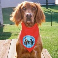 Profile Picture of Debbie Calmbacher (@debbie-calmbacher) on Quora