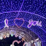 Profile Picture of TaeJin  Lee (@taejinl) on Instagram