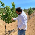 Felipe Enciso Romero - Instagram Profile Picture of Felipe Enciso Romero (@felipe_enciso20) on Instagram