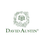 Profile Picture of David Austin Roses (@david_austin_roses) on Youtube