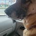 Profile Picture of Brett Kitchen (@brett.kitchen.10) on Facebook