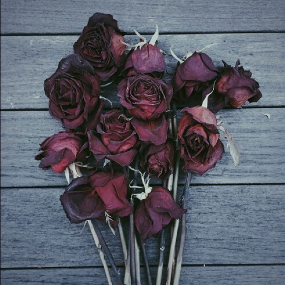 Profile Picture of Amanda Prorok (@amandaprorok) on Poshmark