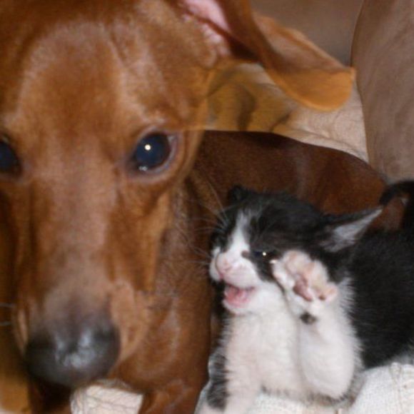 Profile Picture of Stumpy Happle (@meganhapple) on Poshmark