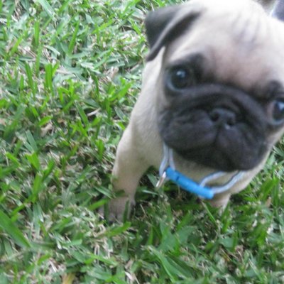 Profile Picture of Sunil Perera (@perera_sunil) on Twitter