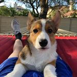 Profile Picture of Steven Fitz (@stevenlfitz) on Instagram