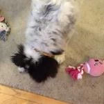 Profile Picture of Robert Collier (@roberto__collier) on Instagram