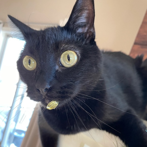 Profile Picture of Dawn Mathis (@dmathis17) on Poshmark