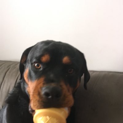 Profile Picture of Jim Worsley (@worsley_jim) on Twitter