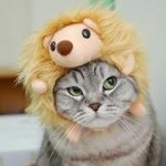 Profile Picture of Celeste Michon (@meikamaaya) on Instagram