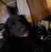 Profile Picture of John Netzel (@john.netzel.39) on Facebook