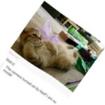 Profile Picture of Maureen Linktimewa (@maureen_linktimewaf) on Instagram