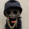 Profile Picture of Thomas.Myhre (@steubpehtfi) on Tiktok