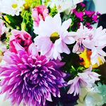 Profile Picture of Michaela Hysten (@mhysten) on Instagram