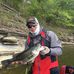 Profile Picture of Doug Wallace (@doug.wallace.351) on Facebook