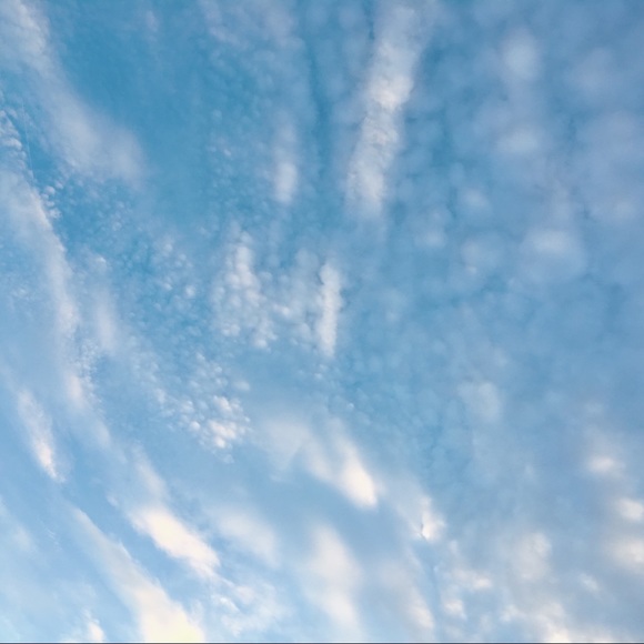 Profile Picture of Cocoâ€ Shadley (@fanfanchuu) on Poshmark