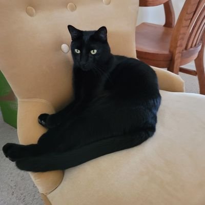 Profile Picture of Christopher Cass (@2011ccas) on Twitter