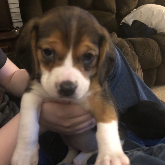 Profile Picture of Stephen d. Slayden (@sslayden) on Poshmark