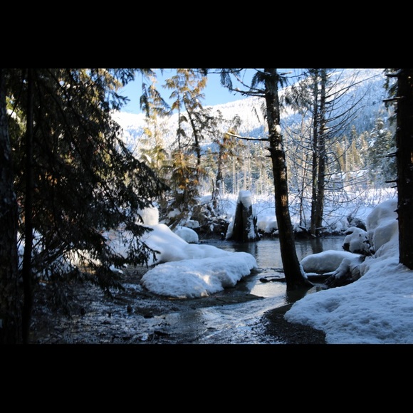 Profile Picture of Deb Miller (@deborah299) on Poshmark