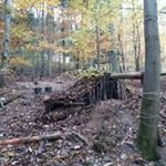 Leo,Johannes, Benjamin, Connor - Instagram Profile Picture of Leo,Johannes, Benjamin, Connor (@die_naturenfreunde) on Instagram