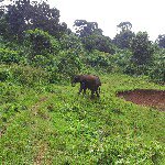 Profile Picture of James Mathenge (@jamesmathenge) on Instagram