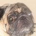 Profile Picture of Julia Devos (@julia.devos.3) on Facebook