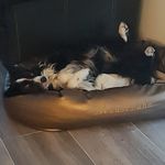 Profile Picture of Ingrid Engel (@ingrid.engel.121) on Instagram