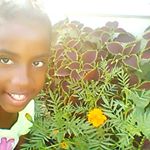 Profile Picture of Arianny feliz Jiménez (@ariannyfelizjimenez) on Instagram