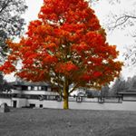 Profile Picture of Karl Mason (@7_shot_photography) on Instagram