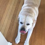 natalie despagna - Instagram Profile Picture of natalie despagna (@ndespagna) on Instagram