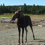 Profile Picture of Paul Philpott (@paulphilpott1) on Flickr