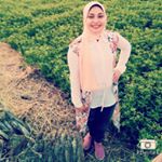 Nancy Radwan - Instagram Profile Picture of Nancy Radwan (@nancyradwa) on Instagram