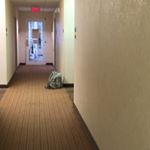 Profile Picture of Amie Wise (@awise.75) on Instagram