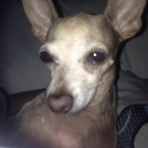 Profile Picture of Ron Bottom (@RonBotttom) on Twitter