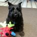 Profile Picture of Pauline Phillips (@pauline.phillips.75) on Facebook