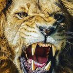 Profile Picture of Petrus Tooney Shilikomwenyo (@king_shalikoshi) on Instagram