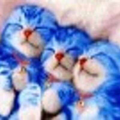 Profile Picture of Kathy Trego (@KathyTrego) on Twitter