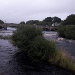 Profile Picture of Peter Scanlon (@peter.scanlon.127) on Instagram