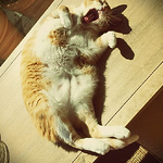 Kevin Nelson - Flickr Profile Picture of Kevin Nelson (@theycallmeknel) on Flickr