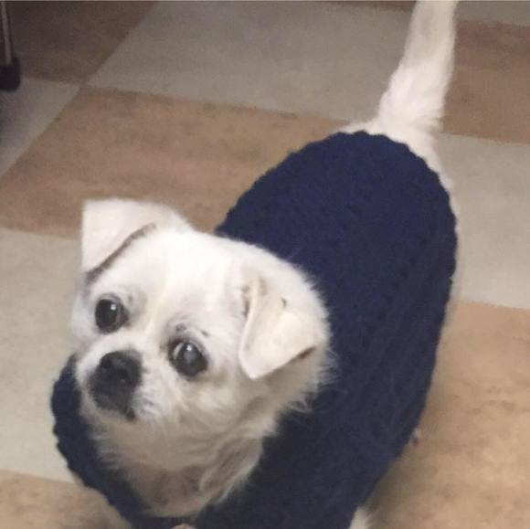 Profile Picture of Hien Do (@hiendo322) on Poshmark